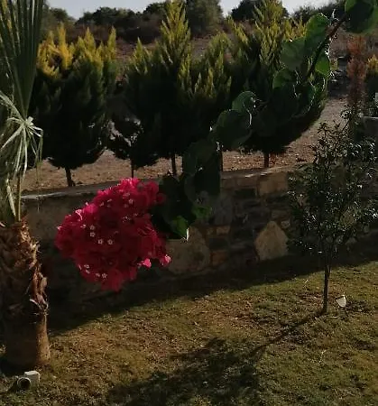 Bargilyam Vila *