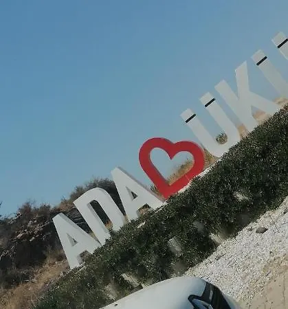 Bargilyam * Bodrum